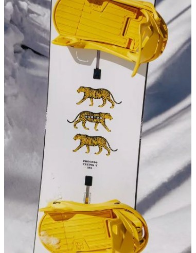 BURTON PROCESS FLYING V